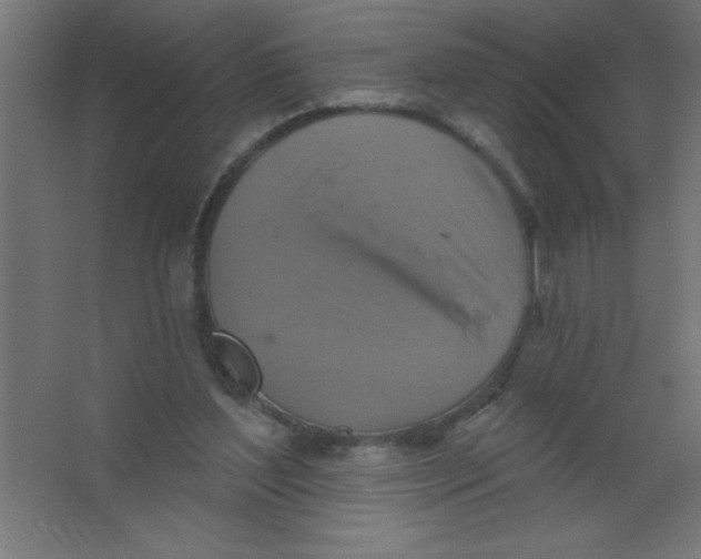 X0000067350204200604212010