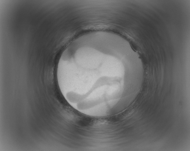 X0000067350206200604212010