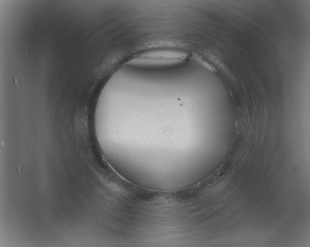 X0000067350207200604212010