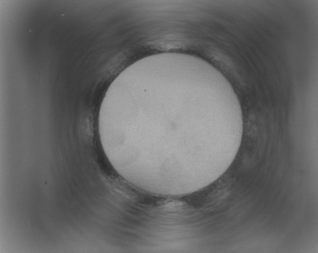 X0000067350210200604212010