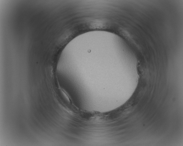 X0000067350211200604212010