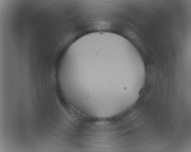 X0000067350212200604212010