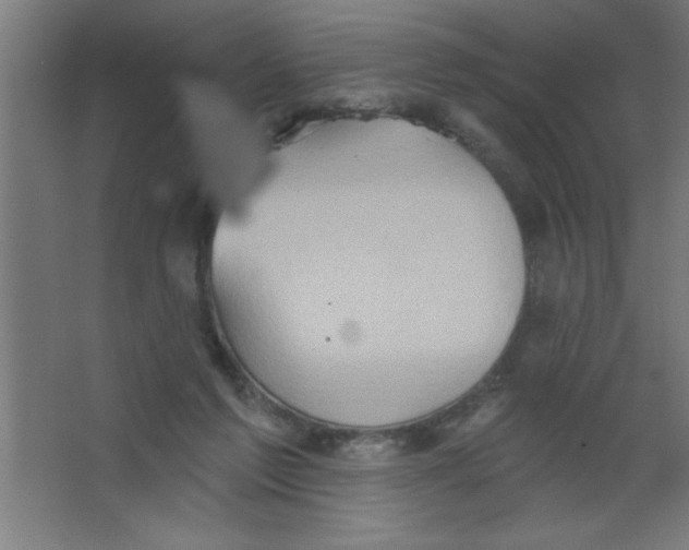 X0000067350213200604212010