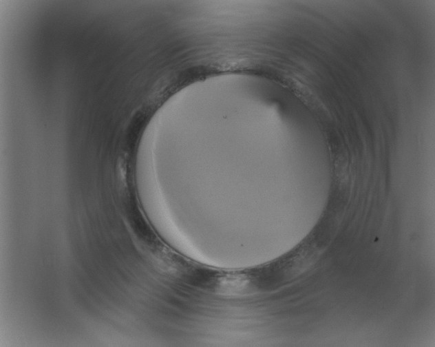 X0000067350214200604212010