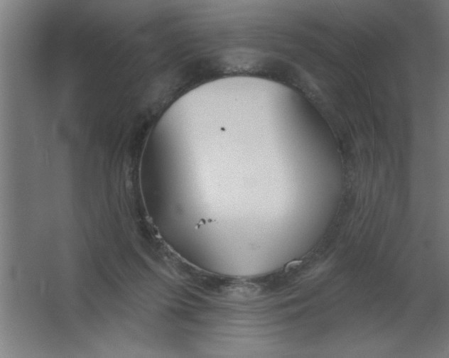 X0000067350215200604212010