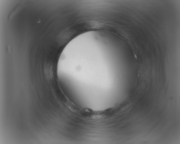 X0000067350216200604212010