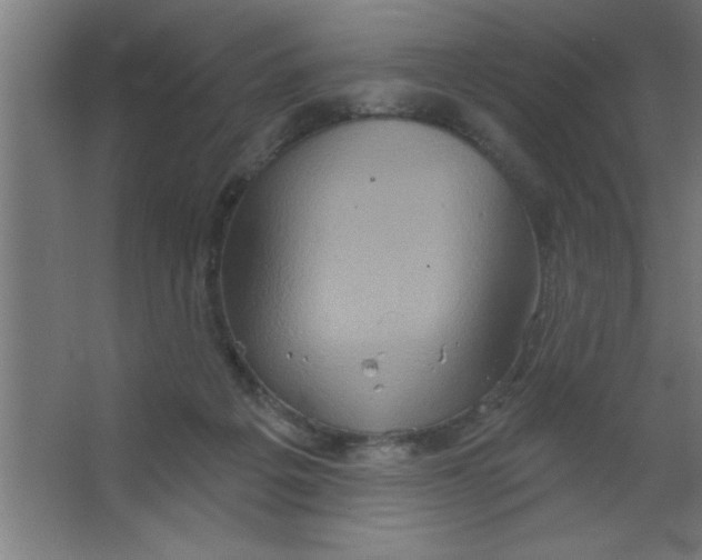 X0000067350217200604212010