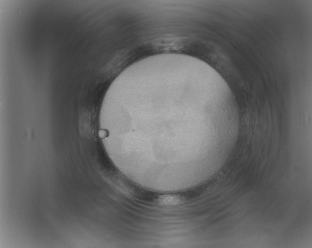 X0000067350218200604212010