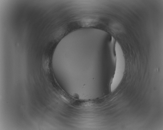 X0000067350219200604212010