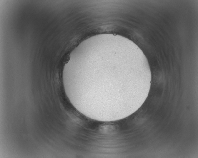 X0000067350220200604212010