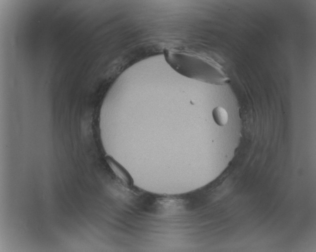 X0000067350221200604212010