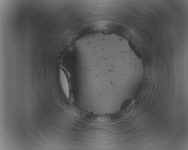 X0000067350223200604212010