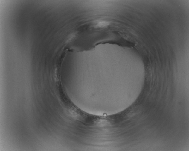 X0000067350224200604212010