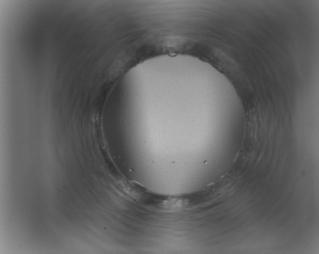 X0000067350225200604212010