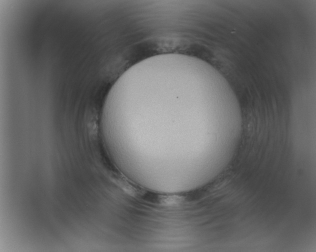 X0000067350226200604212010