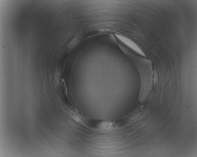 X0000067350227200604212010