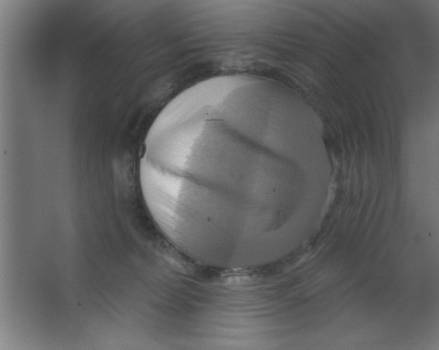 X0000067350228200604212010