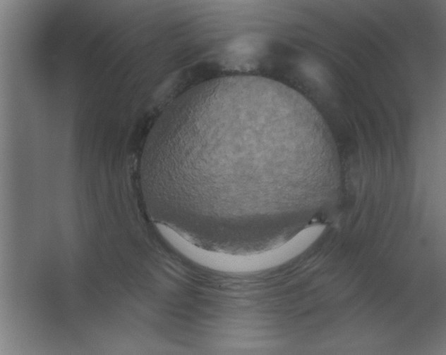 X0000067350229200604212010