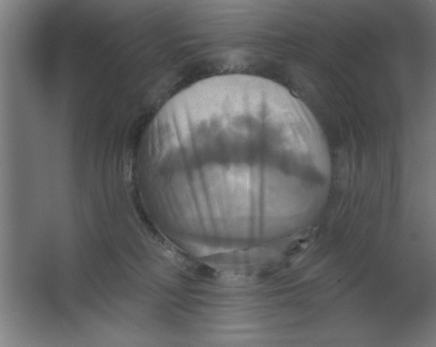 X0000067350230200604212010