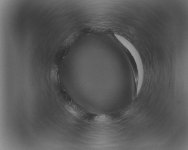 X0000067350231200604212010