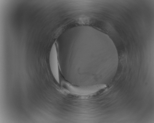 X0000067350233200604212010