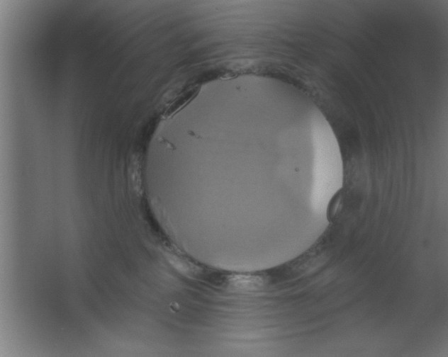 X0000067350234200604212010