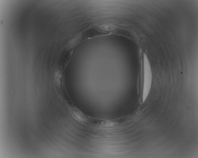 X0000067350235200604212010