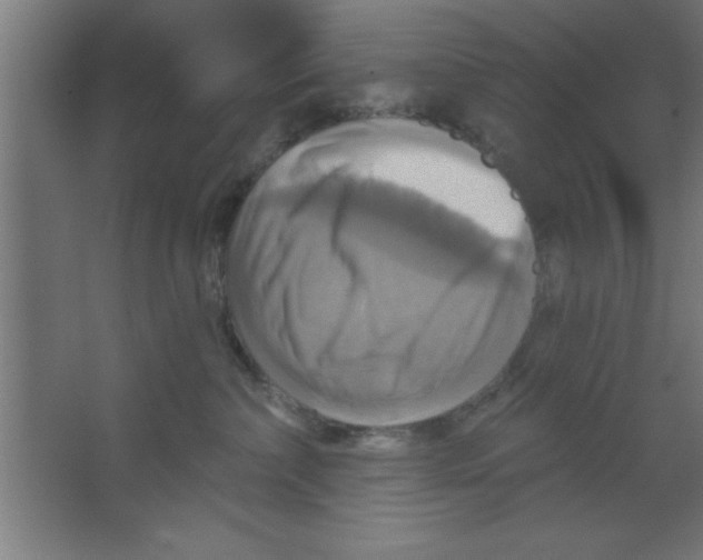 X0000067350236200604212010