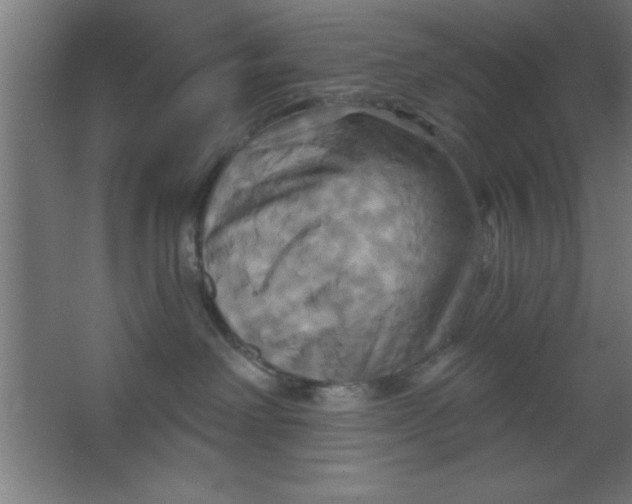 X0000067350238200604212010