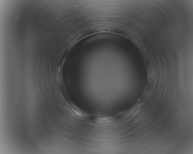 X0000067350239200604212010