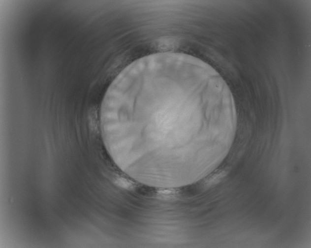 X0000067350240200604212010