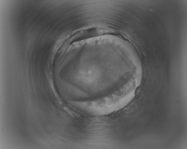 X0000067350241200604212009