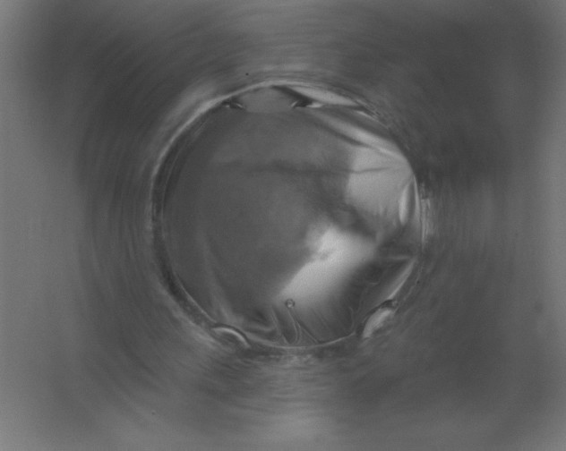 X0000067350243200604212009