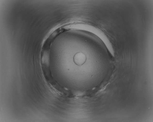 X0000067350244200604212009