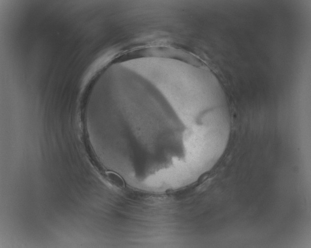 X0000067350245200604212009