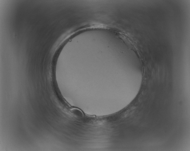 X0000067350247200604212009