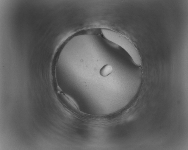 X0000067350248200604212009