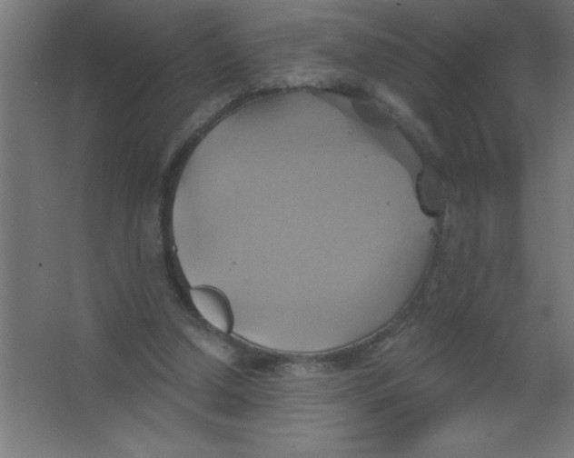 X0000067350250200604212009