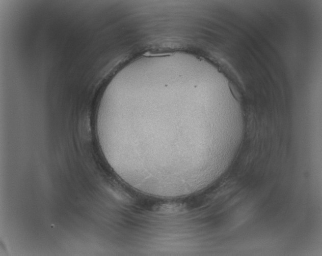 X0000067350251200604212009