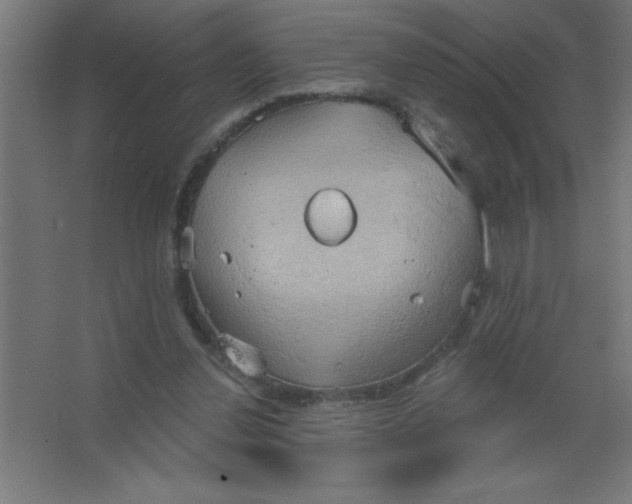 X0000067350252200604212009