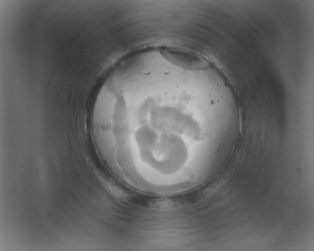 X0000067350253200604212009