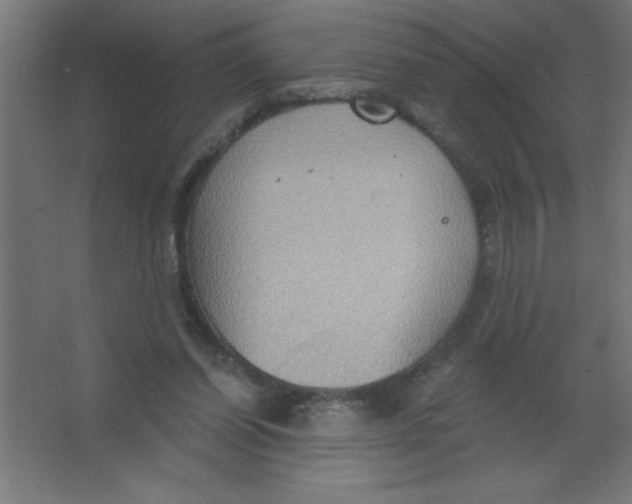 X0000067350254200604212009