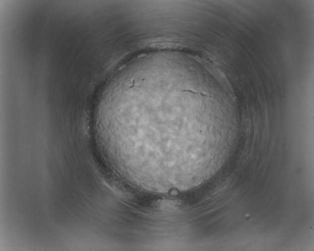 X0000067350255200604212009