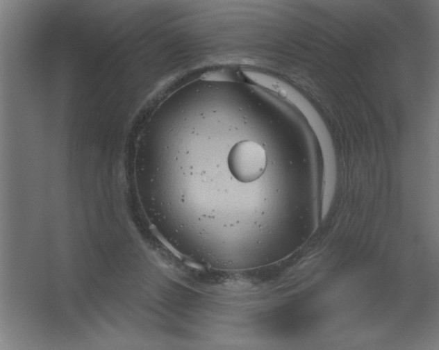 X0000067350256200604212009