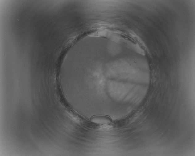 X0000067350257200604212009