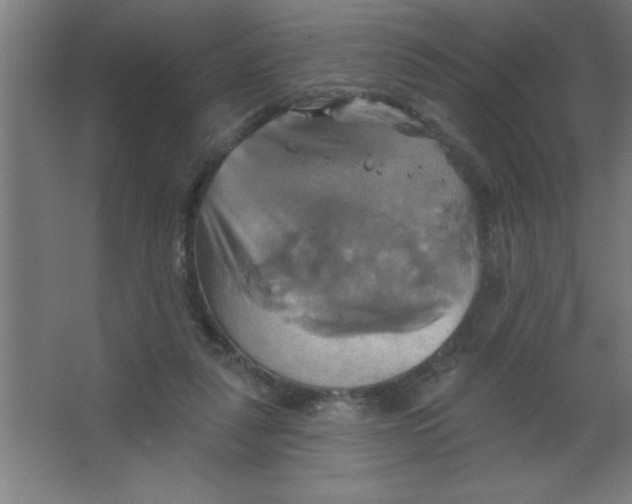 X0000067350259200604212009