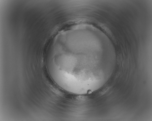 X0000067350261200604212009