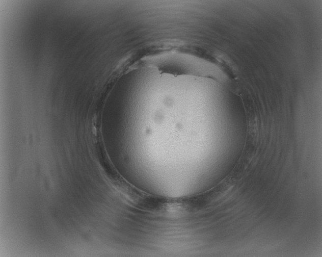 X0000067350264200604212009