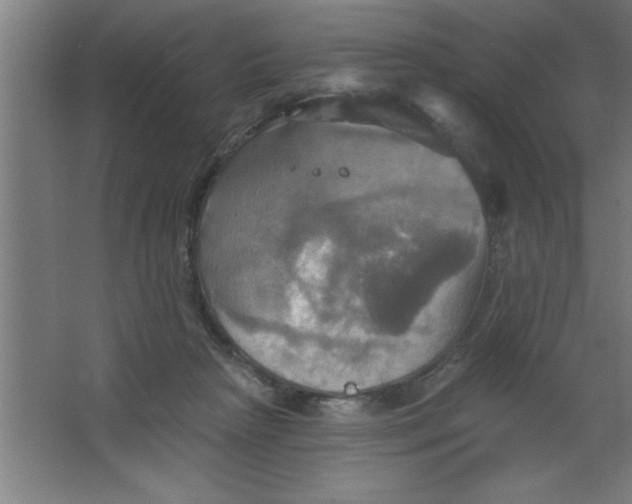 X0000067350265200604212009