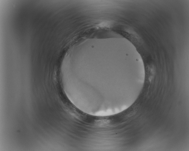 X0000067350266200604212009